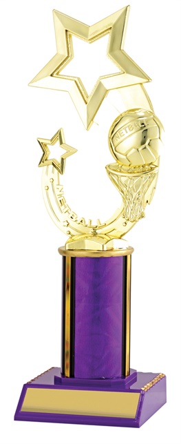 n3058_discount-netball-trophies.jpg