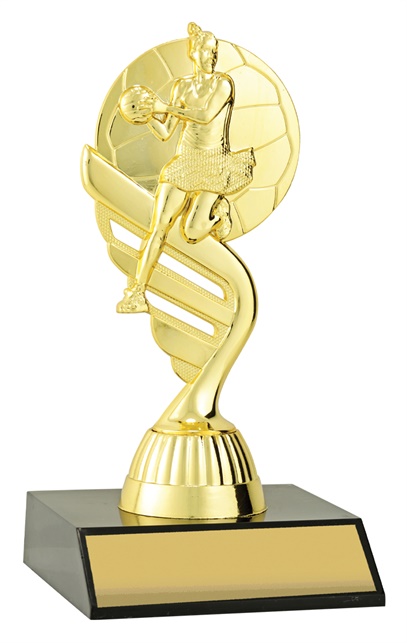 n3080_discount-netball-trophies.jpg