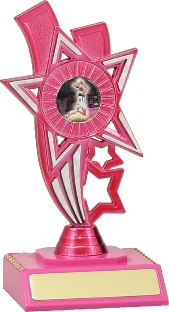 n4009_discounted-netball-trophies.jpg