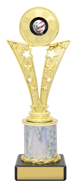 n4009_discounted-netball-trophies.jpg