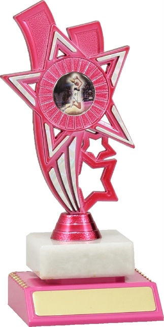 n4009_discounted-netball-trophies.jpg
