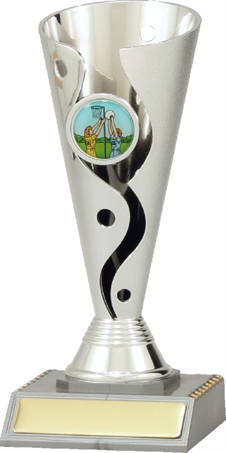 n4009_discounted-netball-trophies.jpg