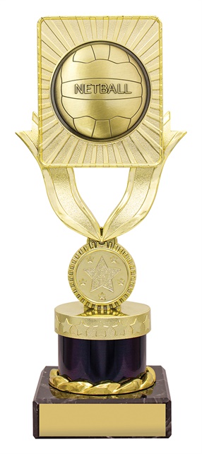 n4023_discounted-netball-trophies.jpg