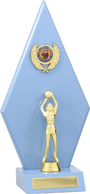 n4023_discounted-netball-trophies.jpg