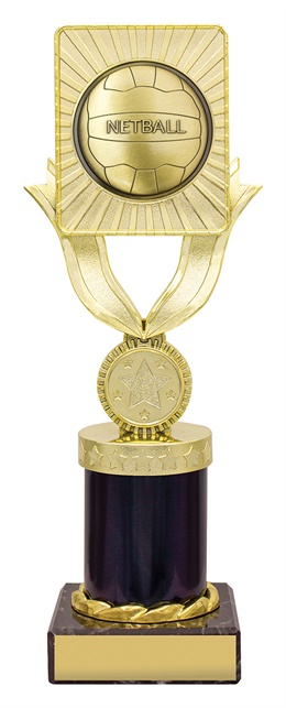 n4023_discounted-netball-trophies.jpg