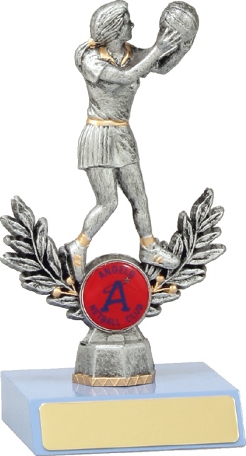 n4023_discounted-netball-trophies.jpg