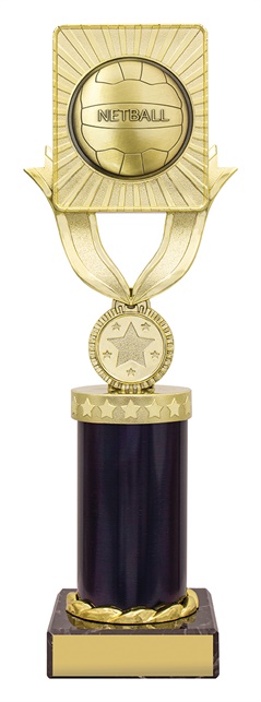 n4023_discounted-netball-trophies.jpg