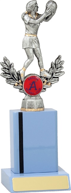 n4023_discounted-netball-trophies.jpg