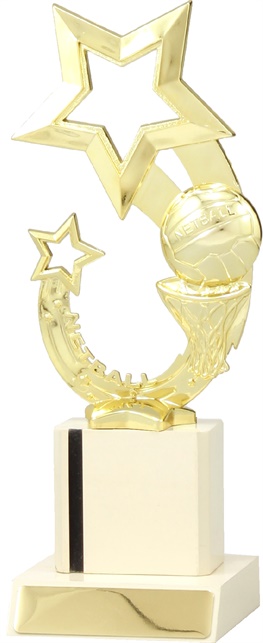 n4032_discounted-netball-trophies.jpg