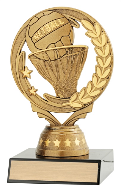 n4091_discounted-netball-trophies.jpg