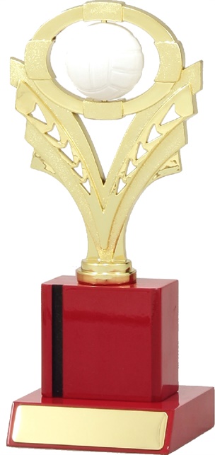 n4091_discounted-netball-trophies.jpg