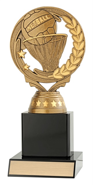 n4092_discounted-netball-trophies.jpg