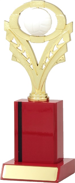 n4092_discounted-netball-trophies.jpg