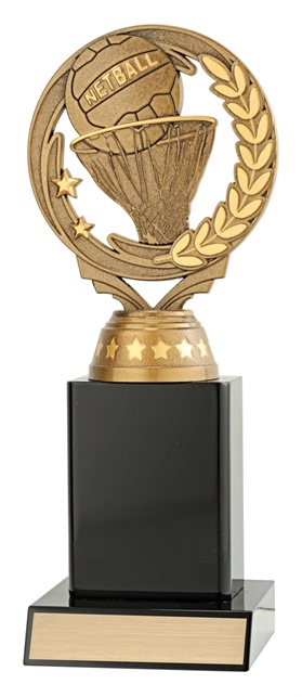 n4092_discounted-netball-trophies.jpg