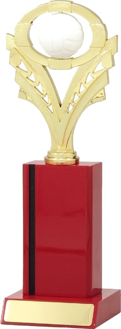 n4092_discounted-netball-trophies.jpg