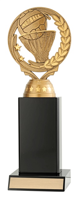n4092_discounted-netball-trophies.jpg