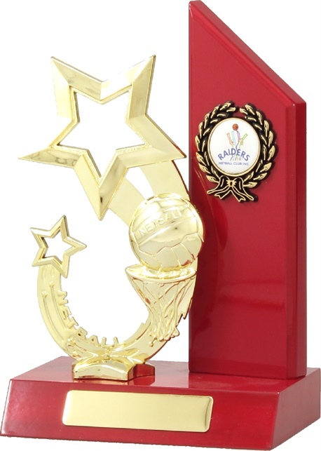 n4092_discounted-netball-trophies.jpg