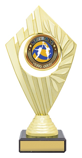 n4160_discount-netball-trophies.jpg