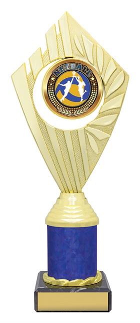 n4161_discount-netball-trophies.jpg