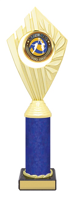 n4161_discount-netball-trophies.jpg