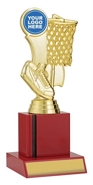 n4166_discount-netball-trophies.jpg