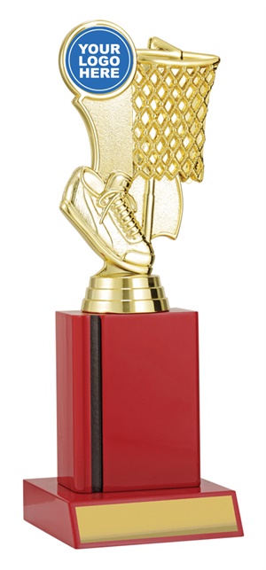 n4166_discount-netball-trophies.jpg
