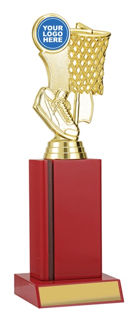 n4166_discount-netball-trophies.jpg