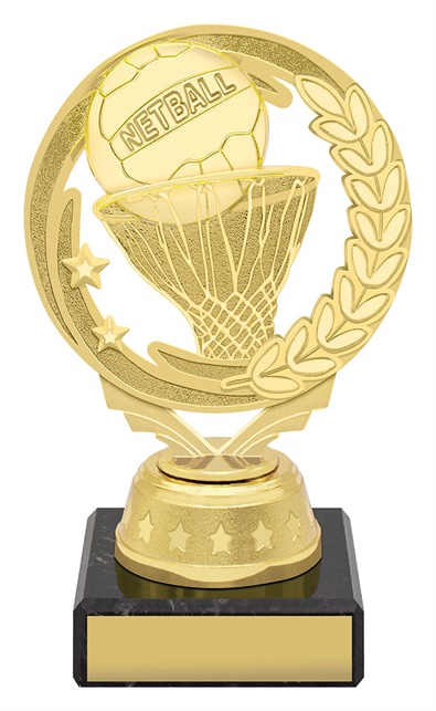 n4184_discount-netball-trophies.jpg