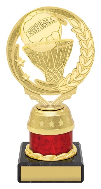 n4185_discount-netball-trophies.jpg