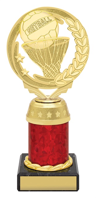 n4185_discount-netball-trophies.jpg