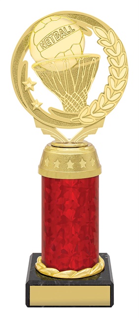 n4185_discount-netball-trophies.jpg