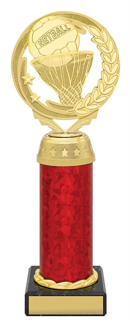 n4185_discount-netball-trophies.jpg