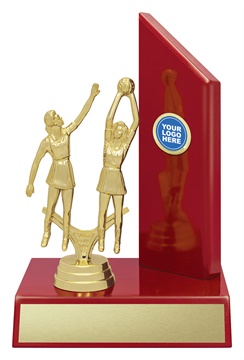 n535a_discount-netball-trophies.jpg