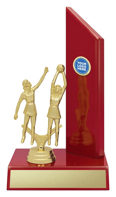 n535a_discount-netball-trophies.jpg