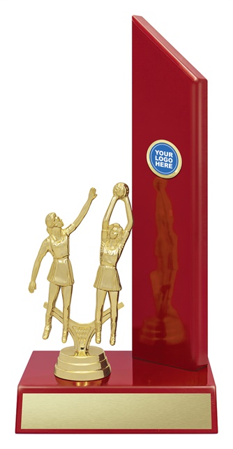 n535a_discount-netball-trophies.jpg