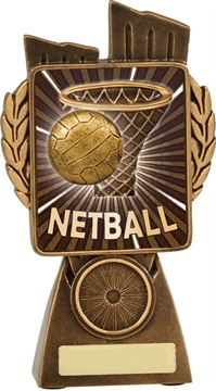 n7004_discount-netball-trophies.jpg