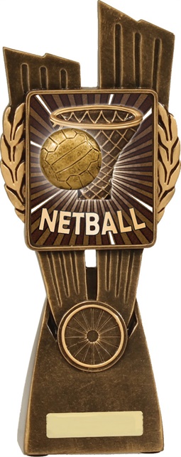 n7004_discount-netball-trophies.jpg