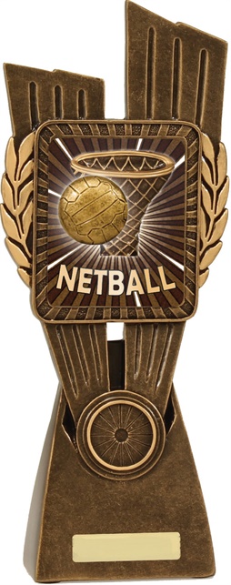 n7004_discount-netball-trophies.jpg