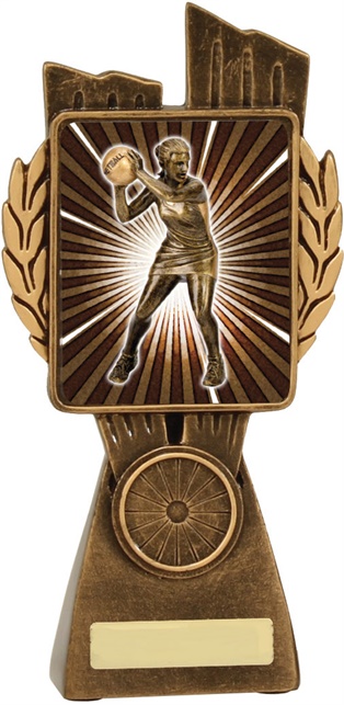 n7008_discount-netball-trophies.jpg