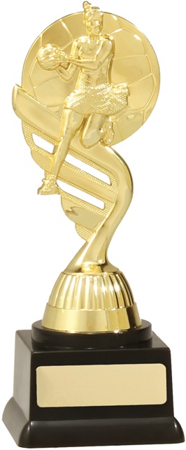 n7014_discount-netball-trophies.jpg