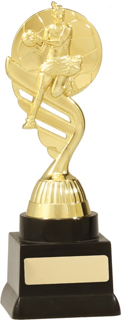 n7014_discount-netball-trophies.jpg