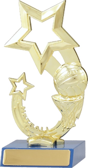 n7048_discount-netball-trophies.jpg