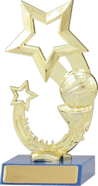 n7048_discount-netball-trophies.jpg