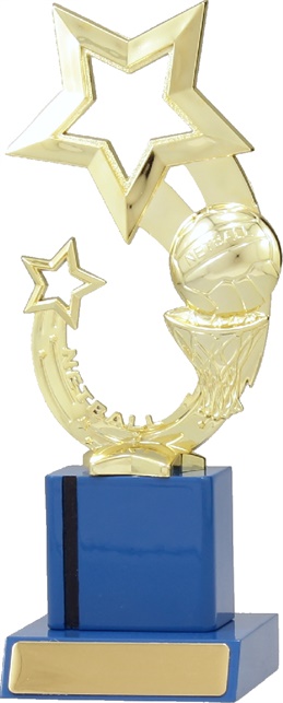 n7048_discount-netball-trophies.jpg