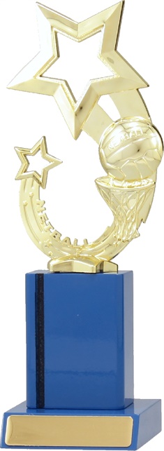 n7048_discount-netball-trophies.jpg