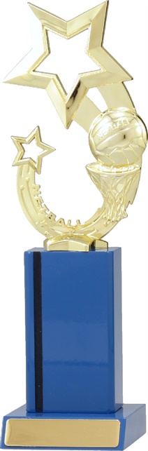 n7048_discount-netball-trophies.jpg