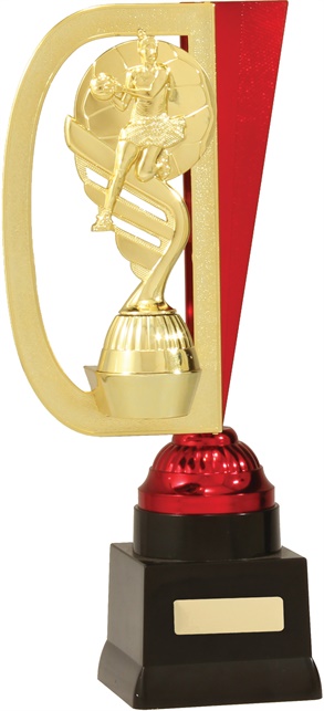 n7064_discount-netball-trophies.jpg