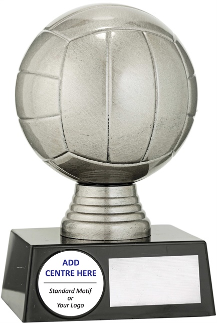 n8034_discount-netball-trophies.jpg