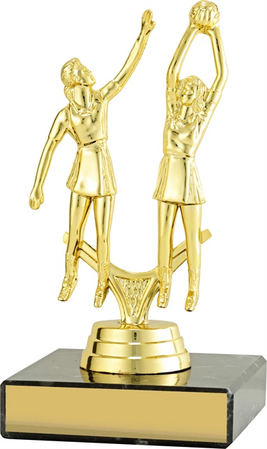 n8055_discount-netball-trophies.jpg