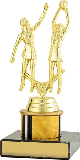 n8056_discount-netball-trophies.jpg